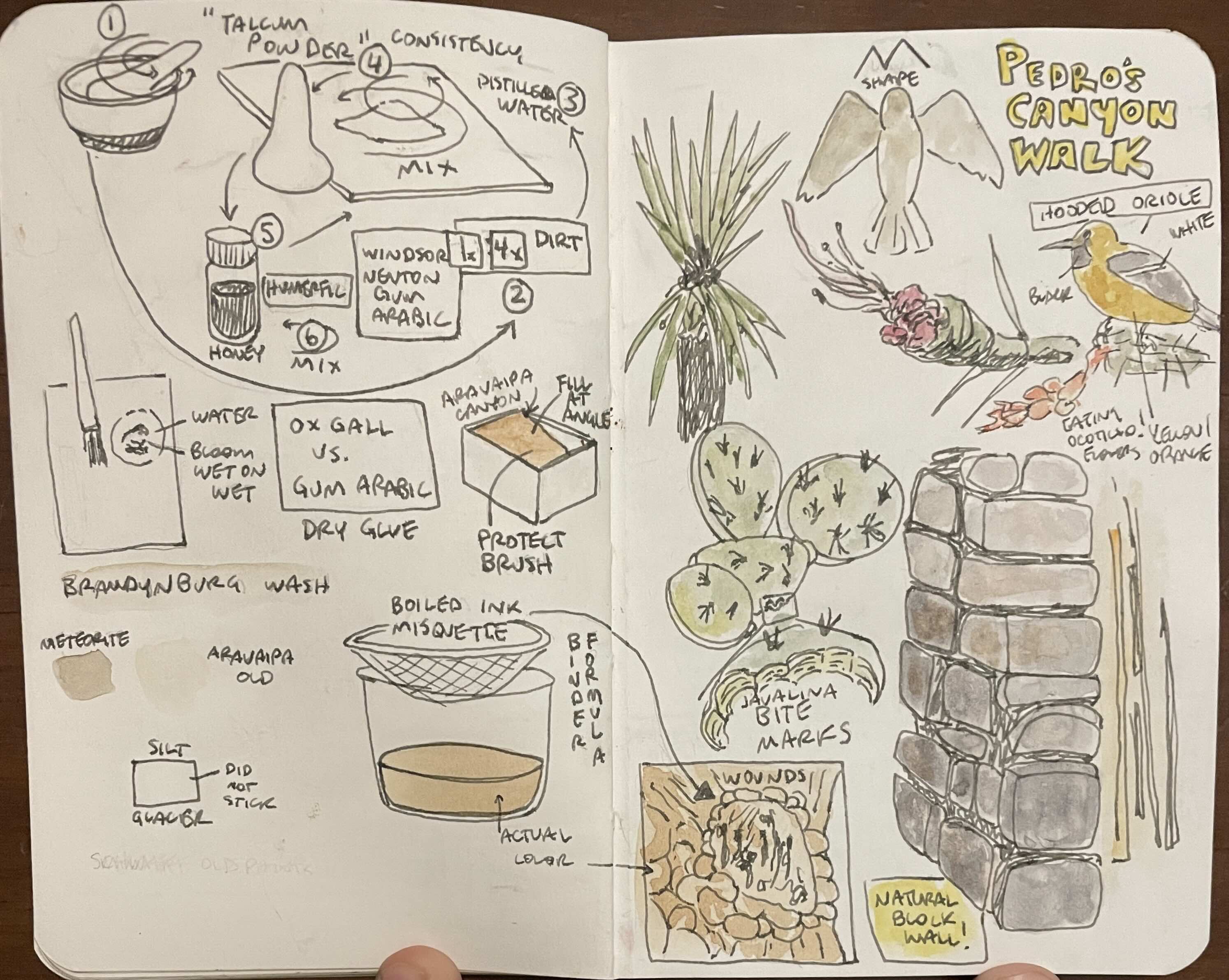 Arizona Nature Journaling
