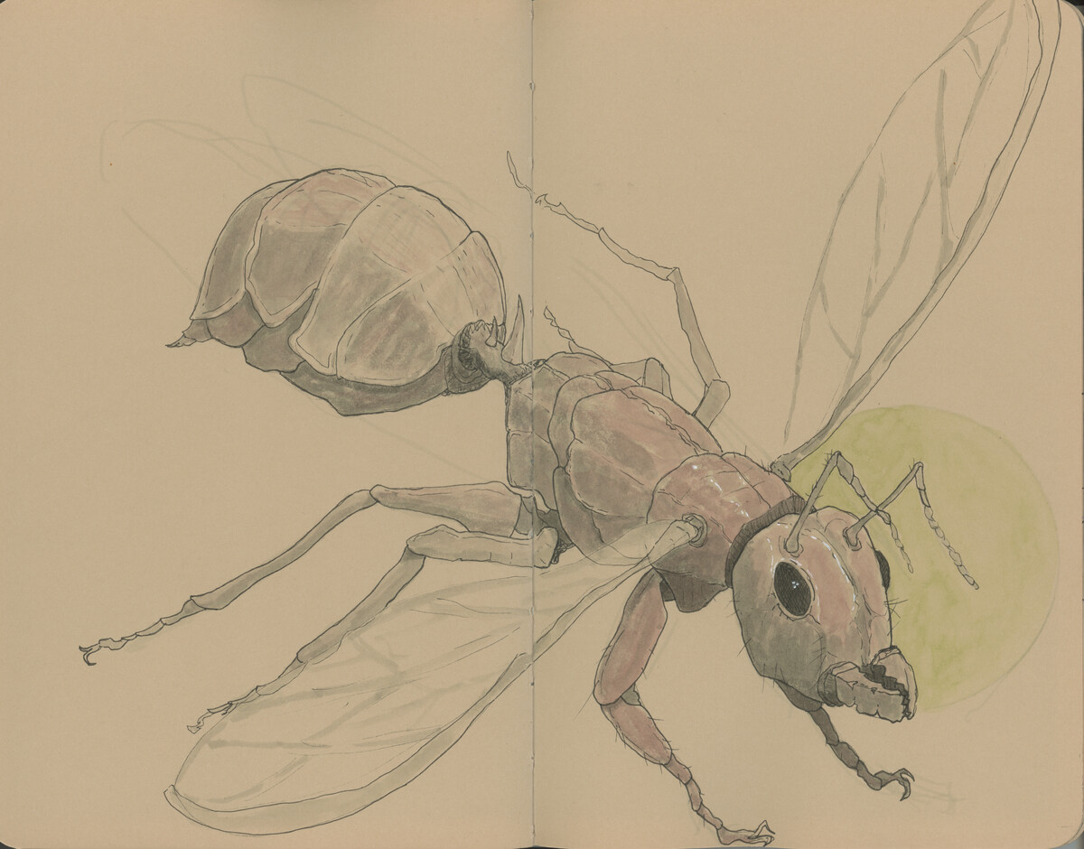ImaginationDrawing-Ant-2026.jpg