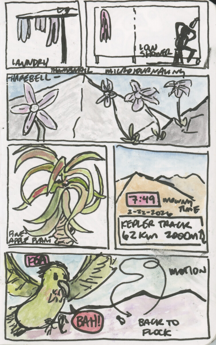 NZComics-Runs-2026.jpg