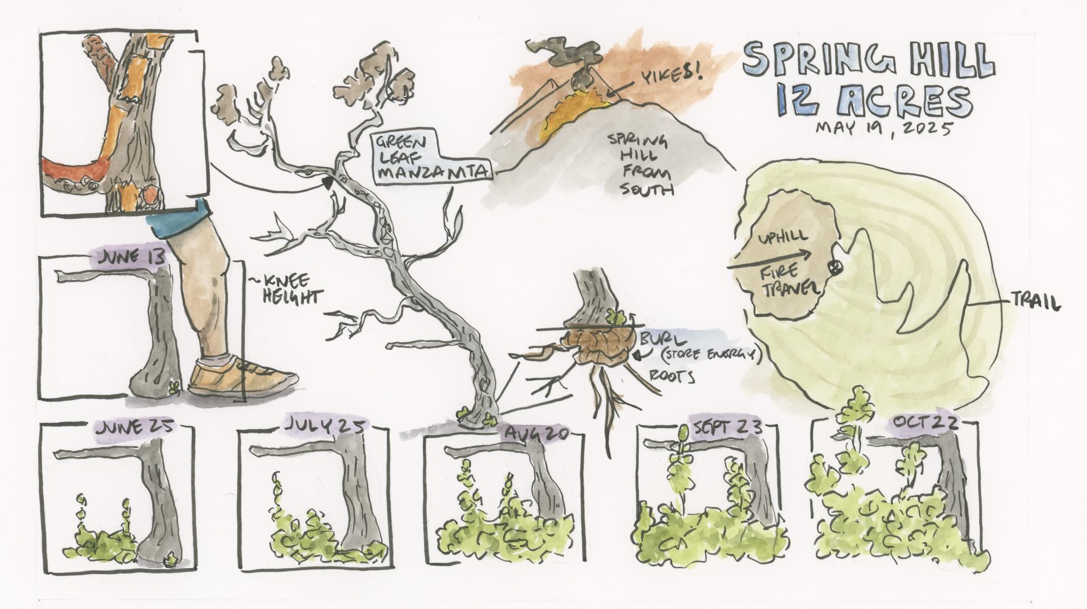 SpringHillFirePresentation