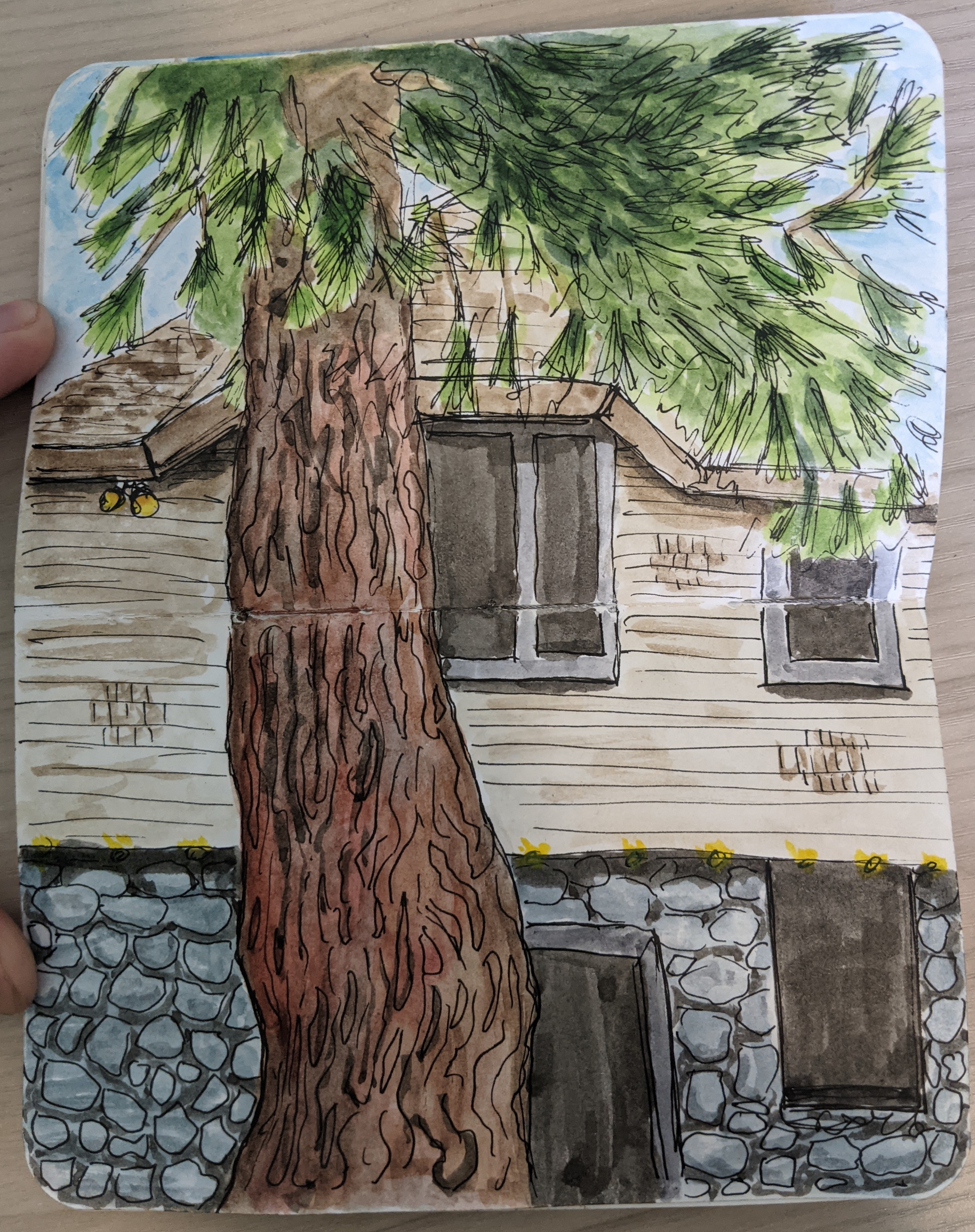 Sketch of historic wedding Sierra Foothills building