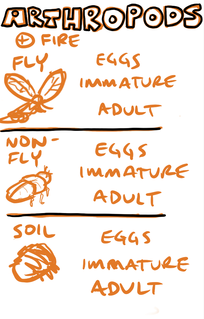 Considerations of lifecycle of arthropods and fire