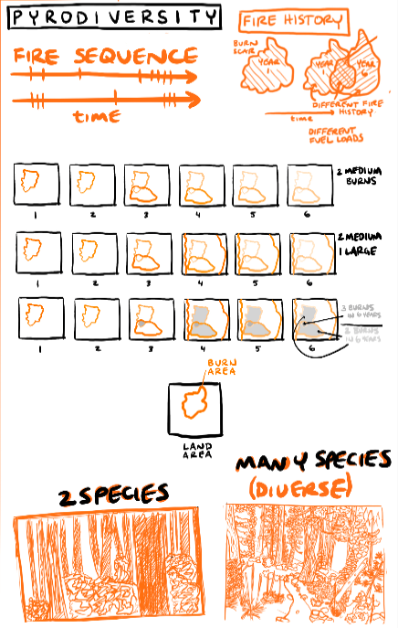 pyrodiversity sketch